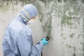 Best Mold Remediation for Healthcare Facilities  in Mount Carroll, IL